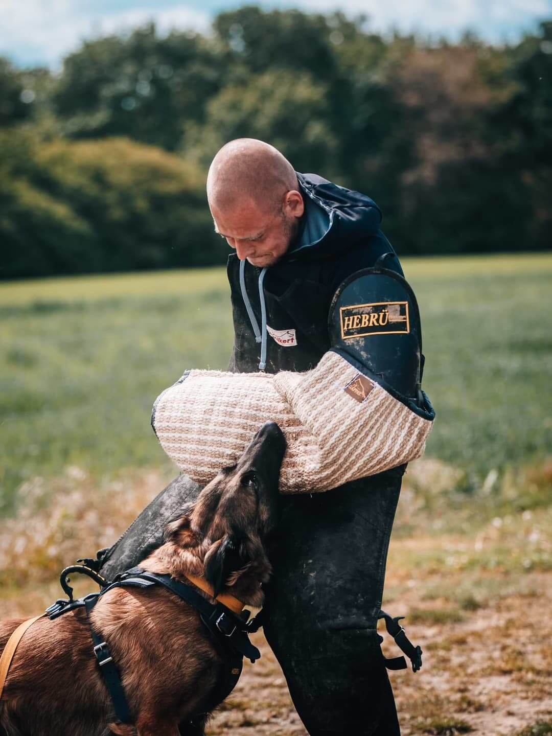 Hundesport Training mit Schäferhund bei Schutz & Hund