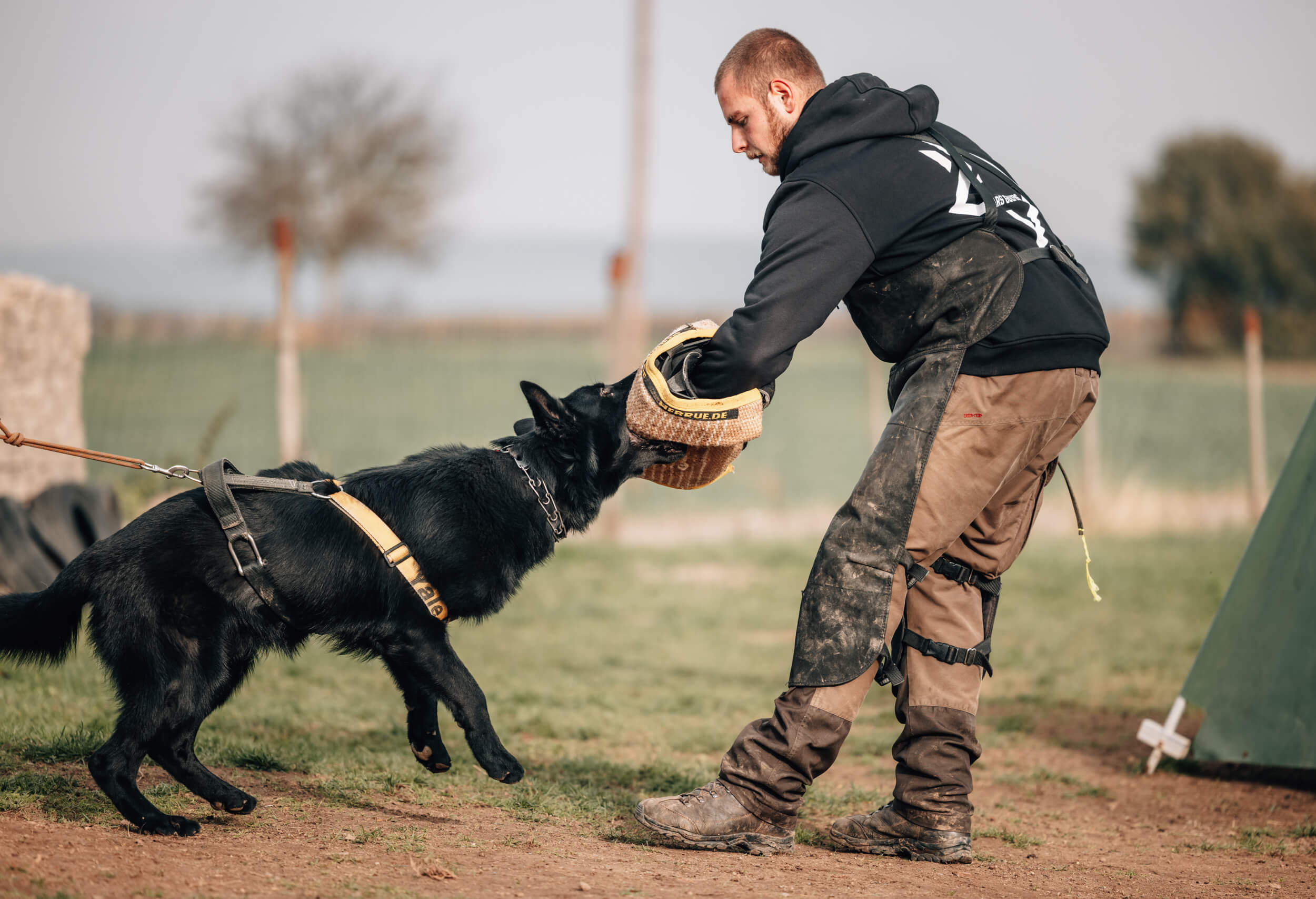 Schutzdienst-Training bei Schutz & Hund in Kehrig bei Koblenz